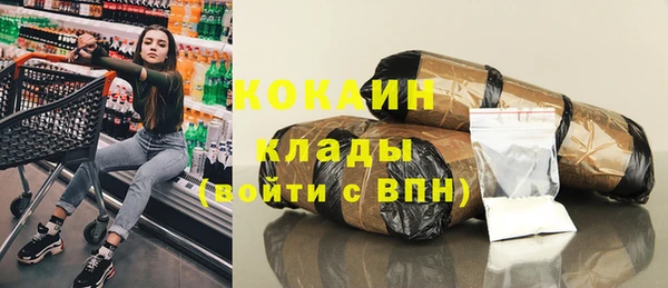 шишки Богданович